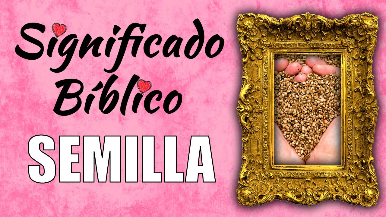 Semilla Significado Bíblico | ¿Qué Significa Semilla en la Biblia? 🙏