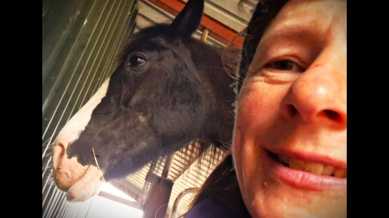 A Spring Day on our farm