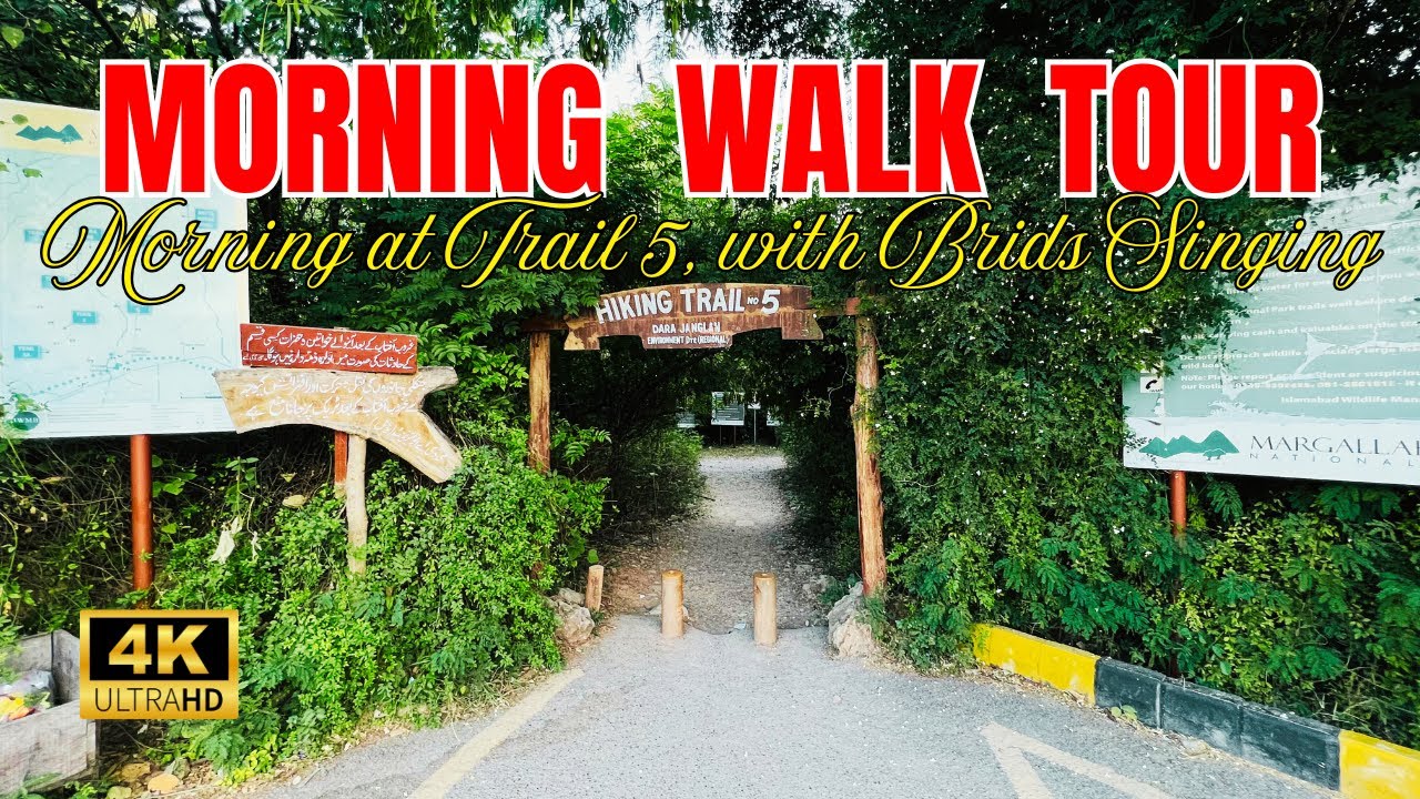 🇵🇰 Explore Trail No. 5 Islamabad | Morning at Forest With Birds Singing Sound
