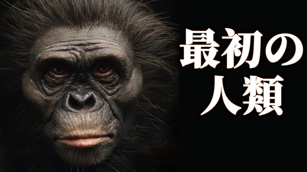 最初の人類、アウストラロピテクスはどうやって暮らしていたのか？