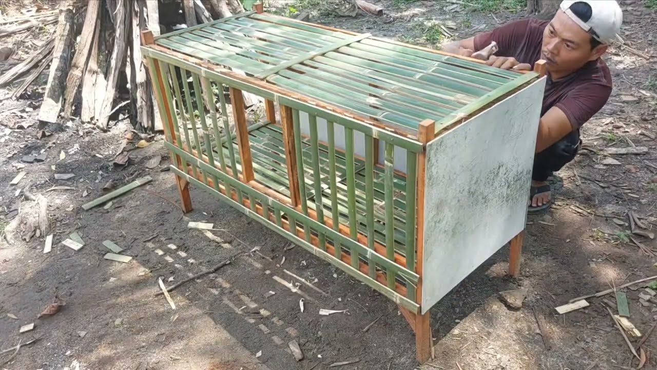Build a minimalist chicken coop