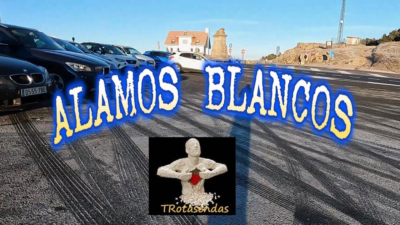 ALAMOS BLANCOS, SIERRA DE GUADARRAMA ( MADRID )
