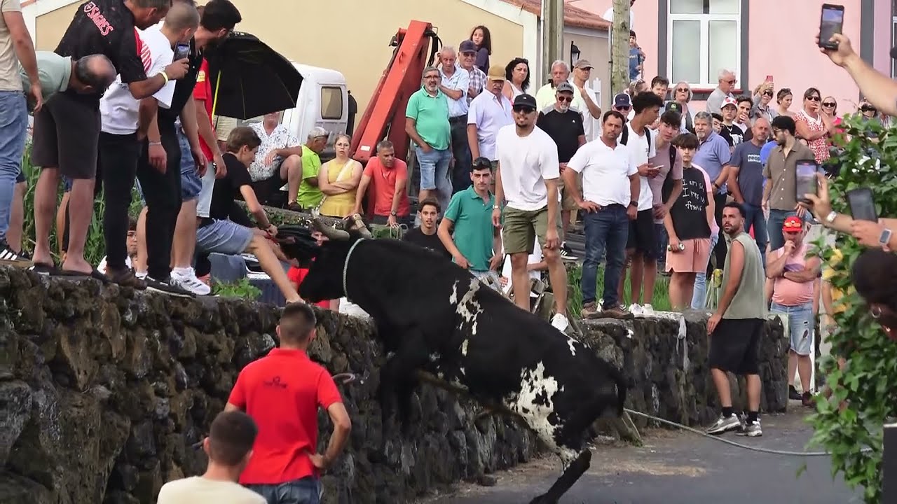 Feteira - Tourada C/Touros Ganadaria FP (72,58,47,83) - 22/7/2025 - Ilha Terceira - Açores