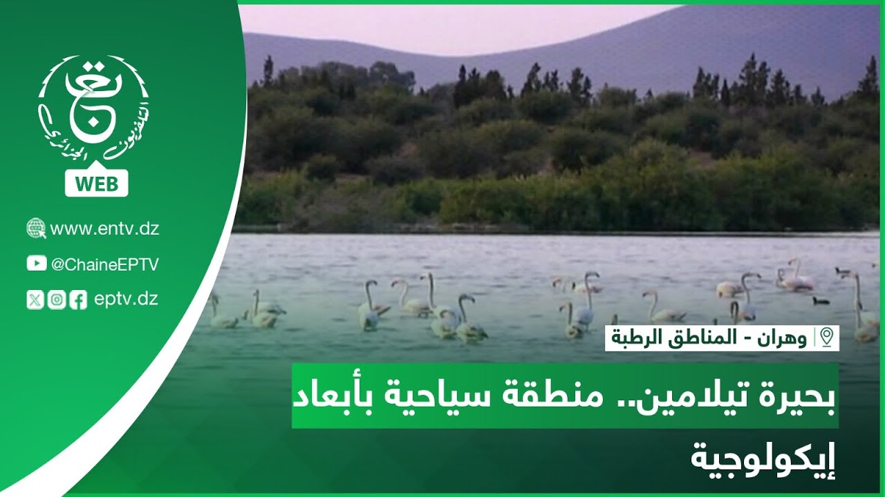 وهران - المناطق الرطبة | بحيرة تيلامين.. منطقة سياحية بأبعاد إيكولوجية