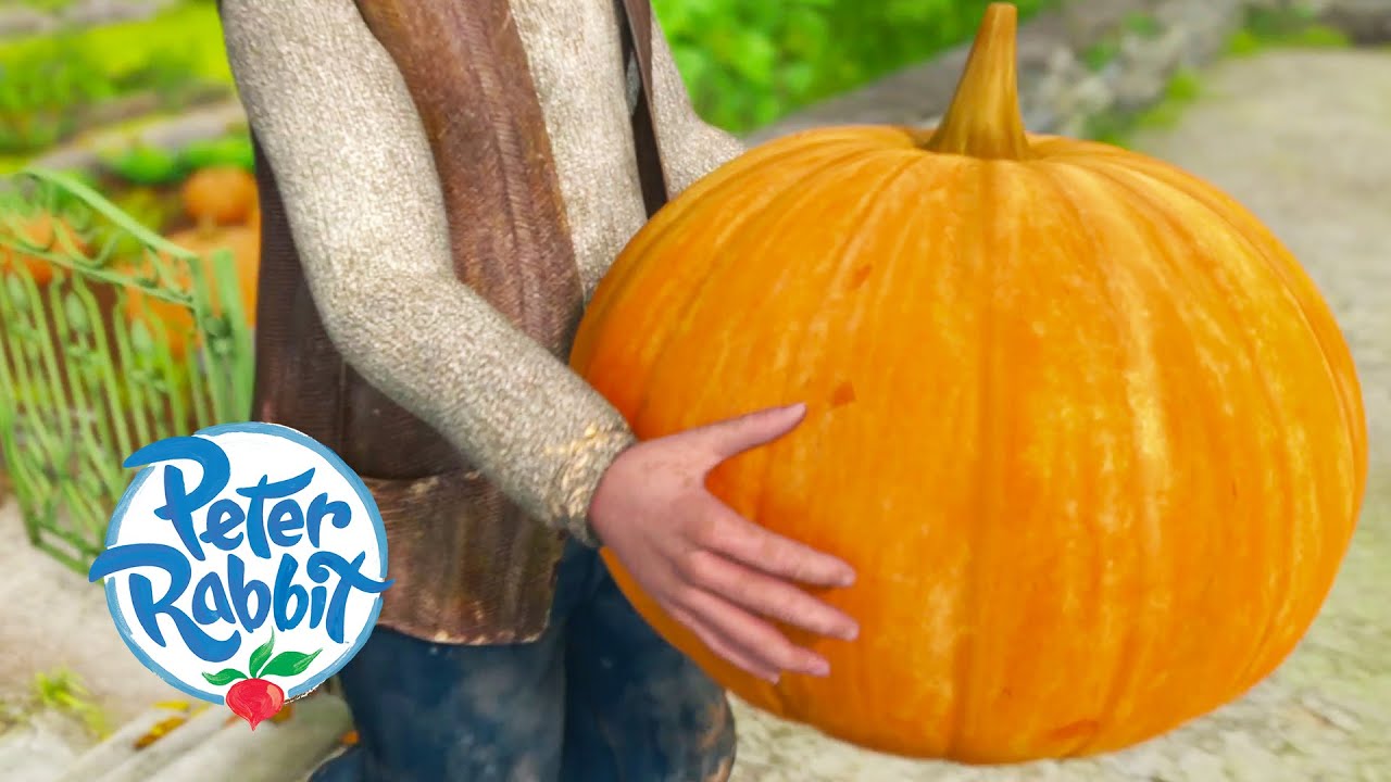 Peter Rabbit - The Giant Pumpkin