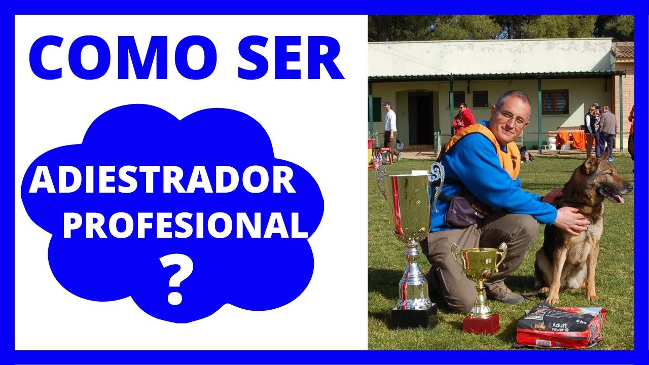 Como ser ADIESTRADOR CANINO PROFESIONAL ​​ 🏆​