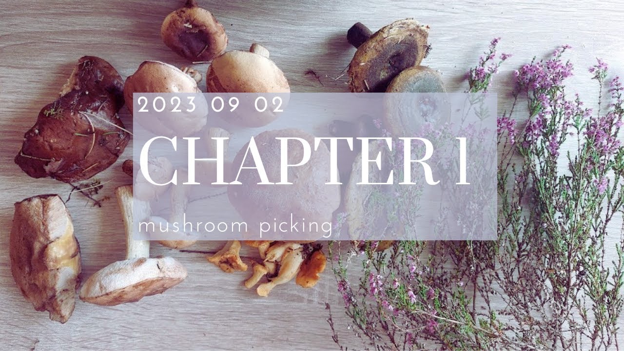 Ch 1: picking mushrooms & chatty walk in the forest in Lithuania