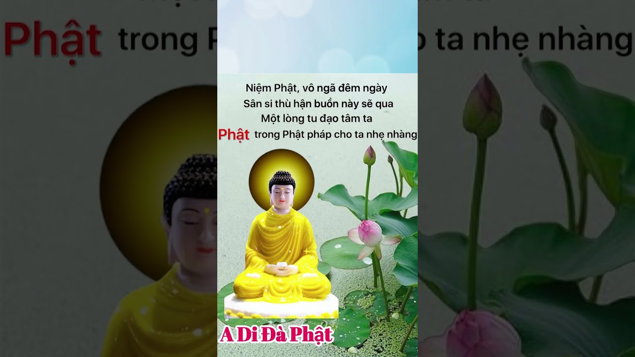 PHẬT DẠY #SHORTS #AMAPMIENTAY