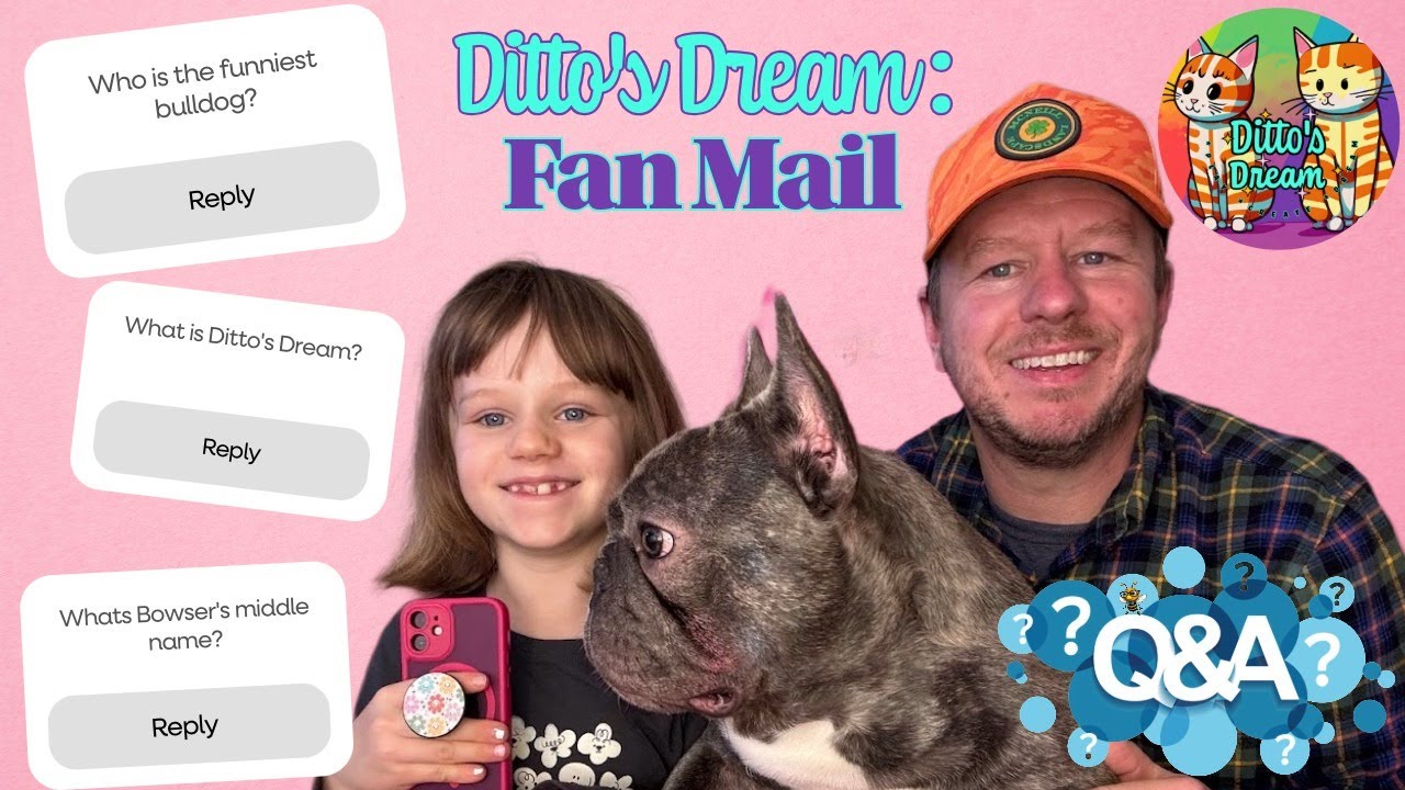 Get to Know Us! 💌 Ditto’s Dream Mailbag Q&A
