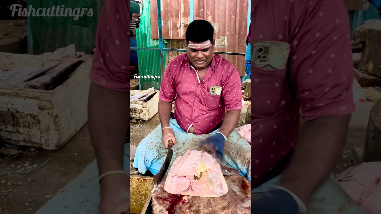Fishcuttingrs #fish #kasimedu #fishcuttingrs