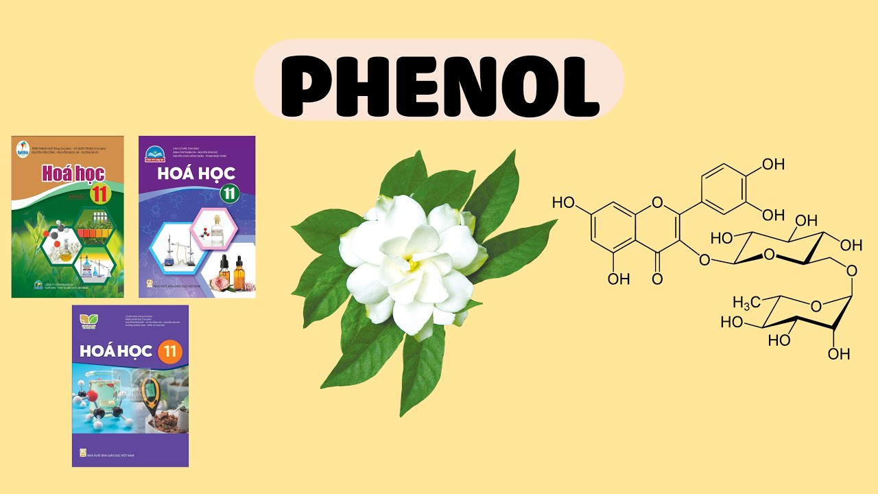 [HÓA 11] PHENOL - Sách Cánh Diều, Chân Trời Sáng Tạo, Kết Nối Tri Thức