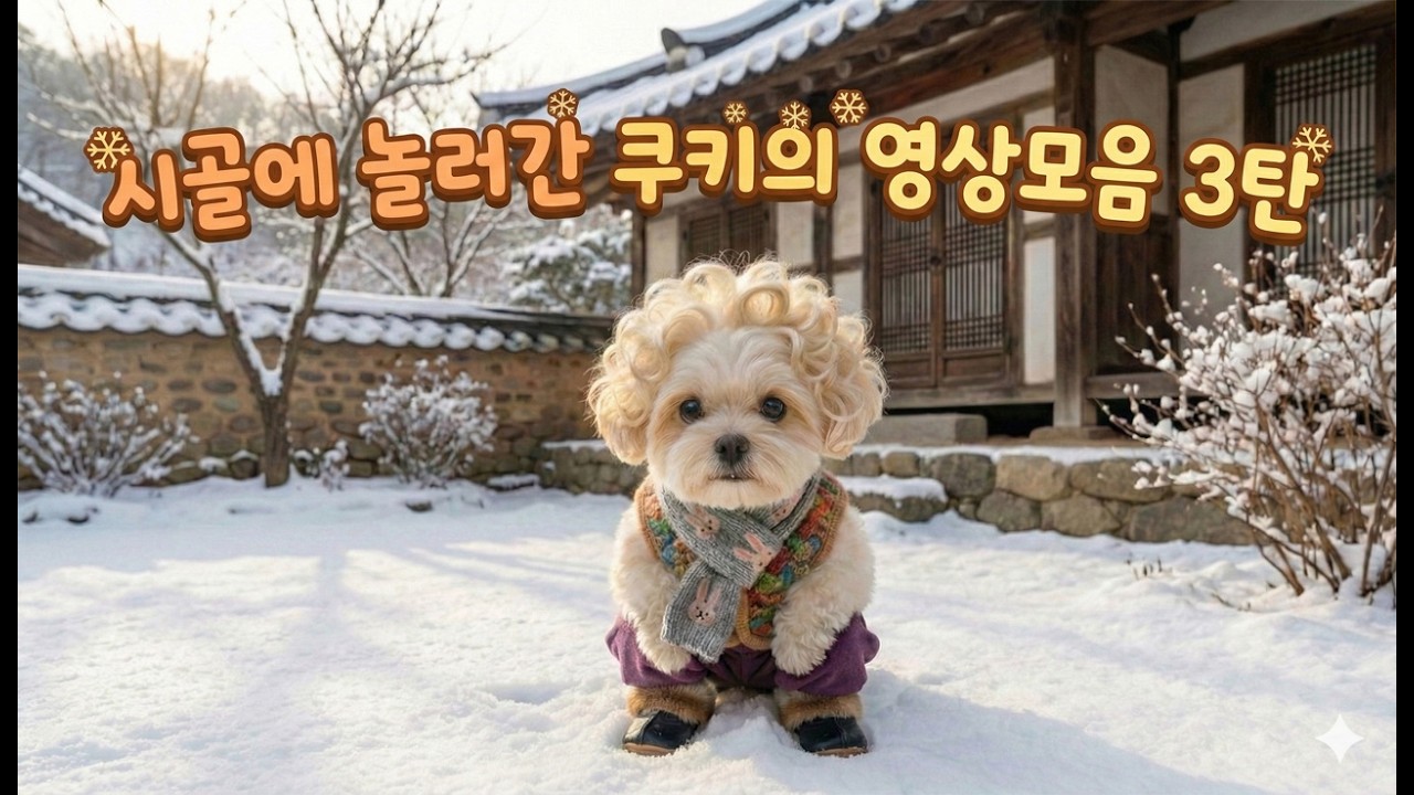 고향갈때 보는 시골에 놀러 간 쿠키 모음집 3탄 #귀경길 #설날영상 #ai #강아지인터뷰