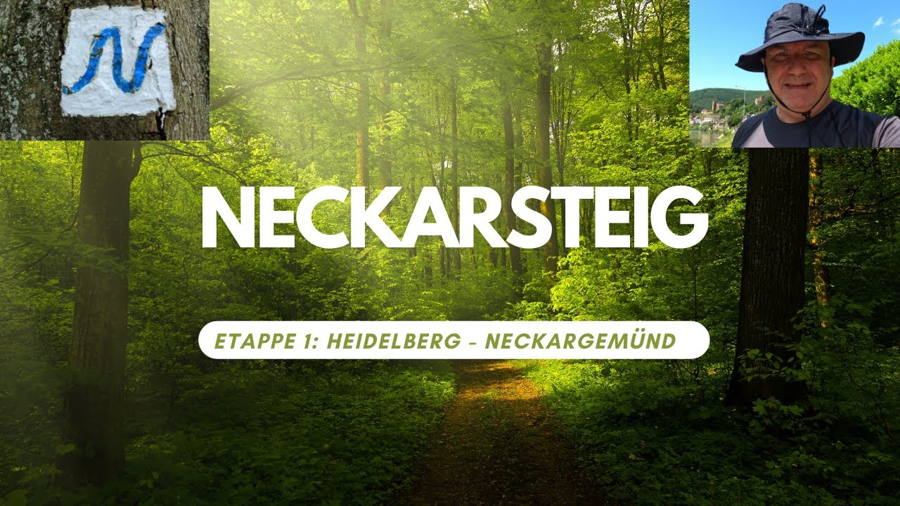 Neckarsteig Etappe 1 Heidelberg - Neckargemünd 4K