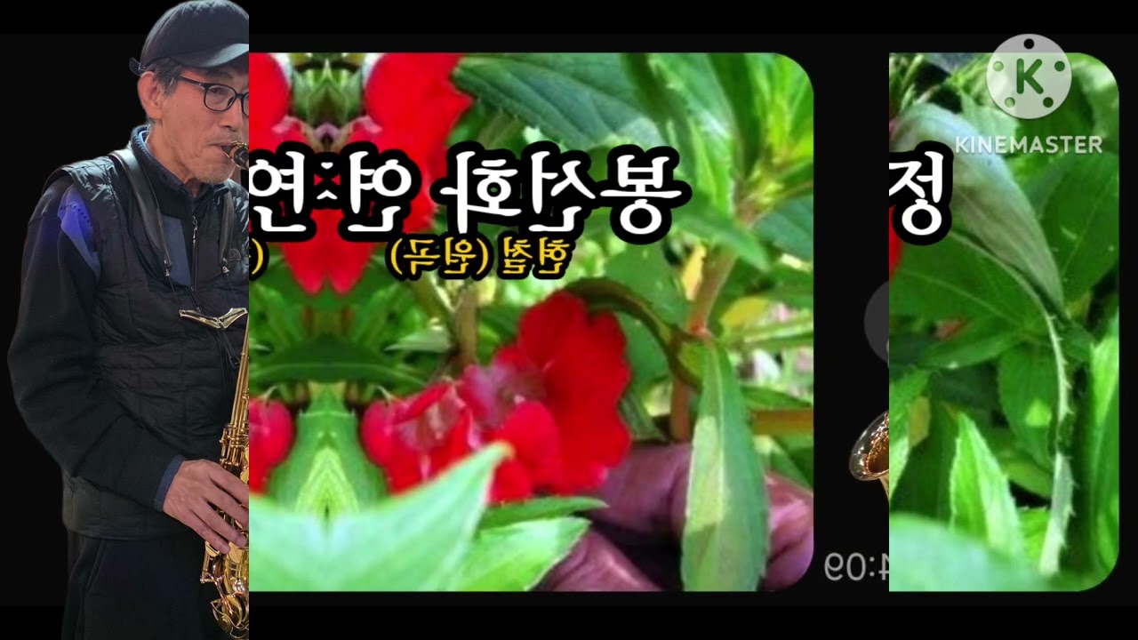 봉선화연정(원곡 현철님) 나발박 연주-Saxophone Cover
