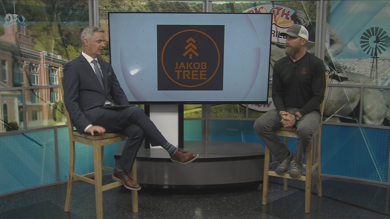 Hiring a Tree Care Professional
