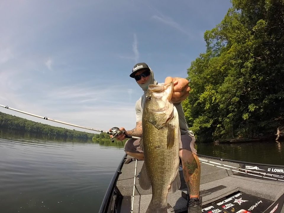 Tutorial: How To Fish Points In Summer