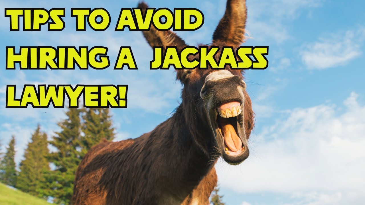 You Lose!  Tips To Avoid Hiring A Jackass Lawyer!