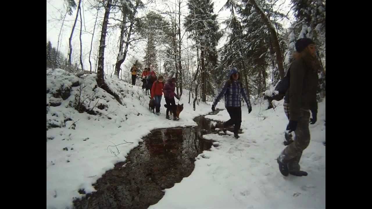 aktywneczterolapy-dogtreking.wmv