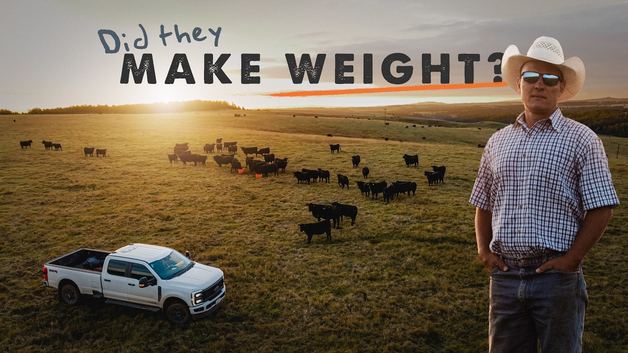 We Bet the Year on This Weigh-In