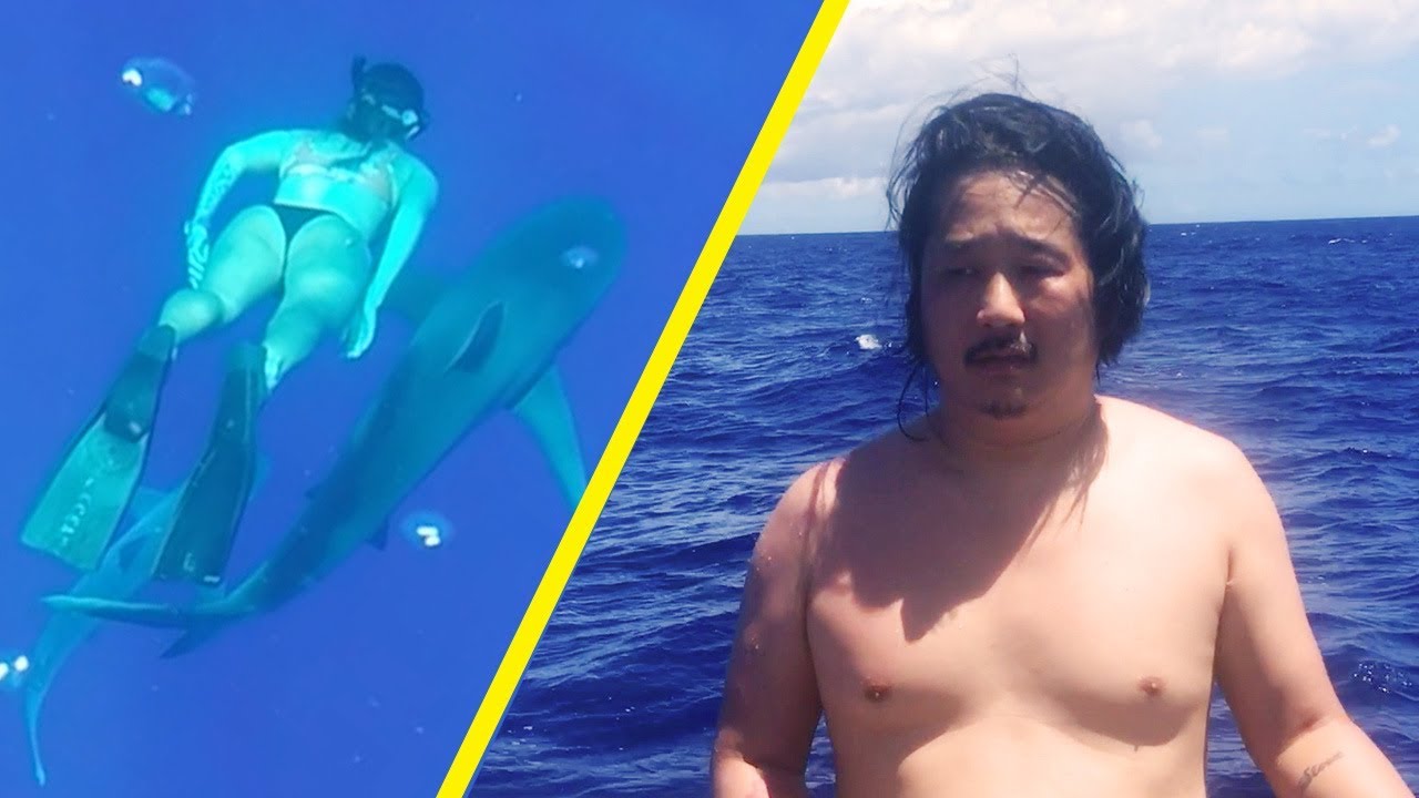 Swimming with Sharks in Hawaii | TgrBly Vlog 031