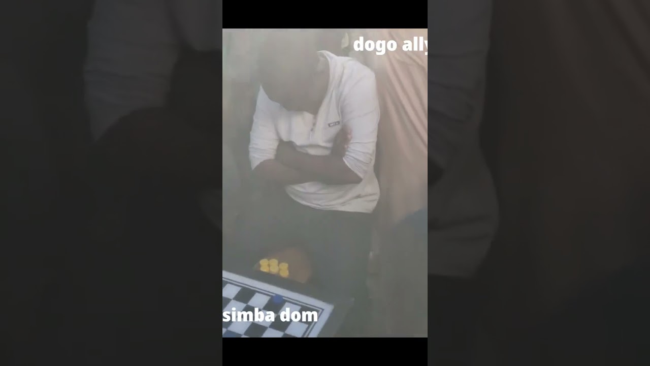 tege ya 3.                                                              SIMBA VS DOGO ALLY.