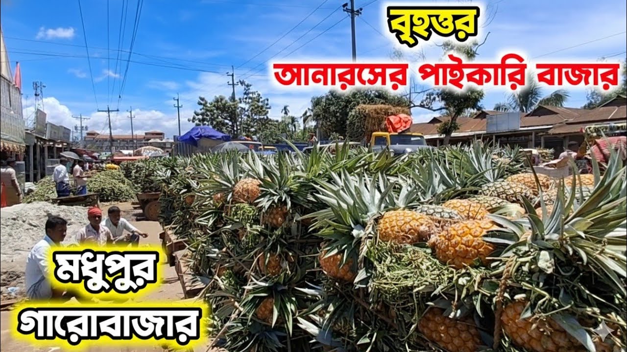 🍍 বাংলাদেশের সবচেয়ে বড় আনারসের পাইকারি হাট! | Pineapple Wholesale in Madhupur (গারাবাজার) 