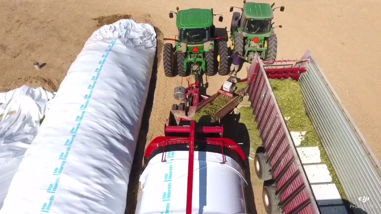 Harvesting Corn Silage 2017