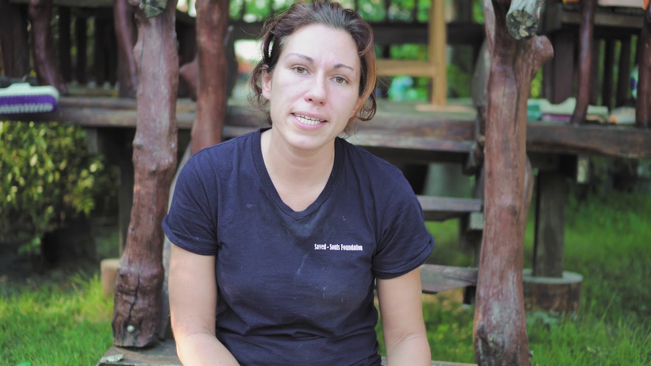 Volunteer with animals in Thailand : Saved Souls Foundation in a few minutes.