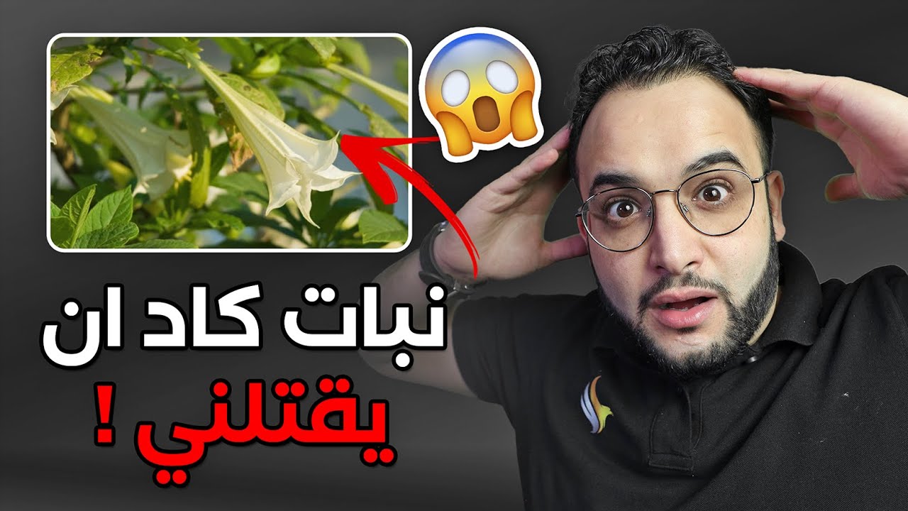 كيف نجوت من أخطر مخدر في العالم (انفاس الشيطان)والتهكير التام 😱