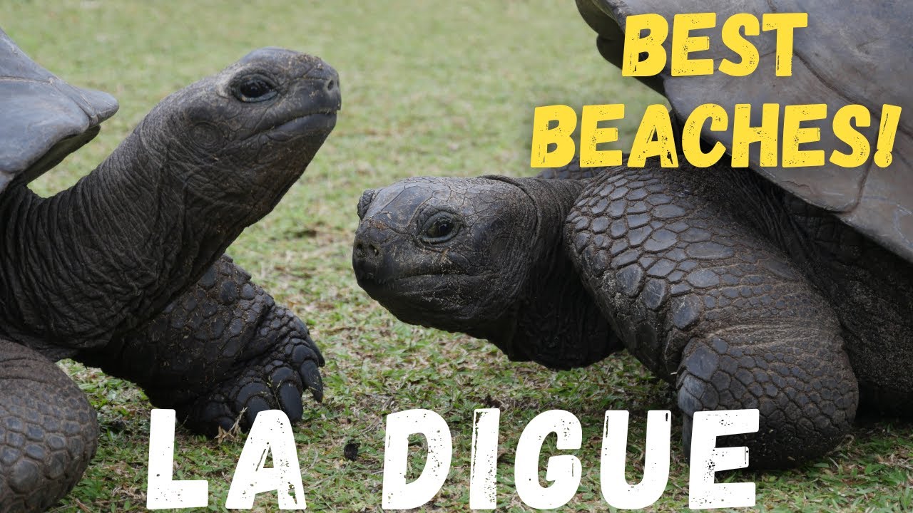 Beaches on La Digue, Seychelles (two-day itinerary)