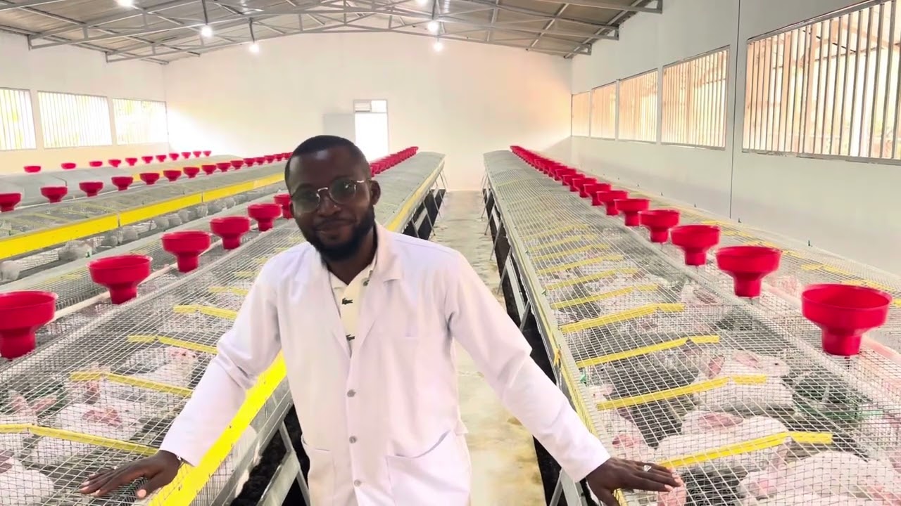 🚨Modern Rabbit Farming: In Africa, rabbit farming is no longer an unconventional form of farming.