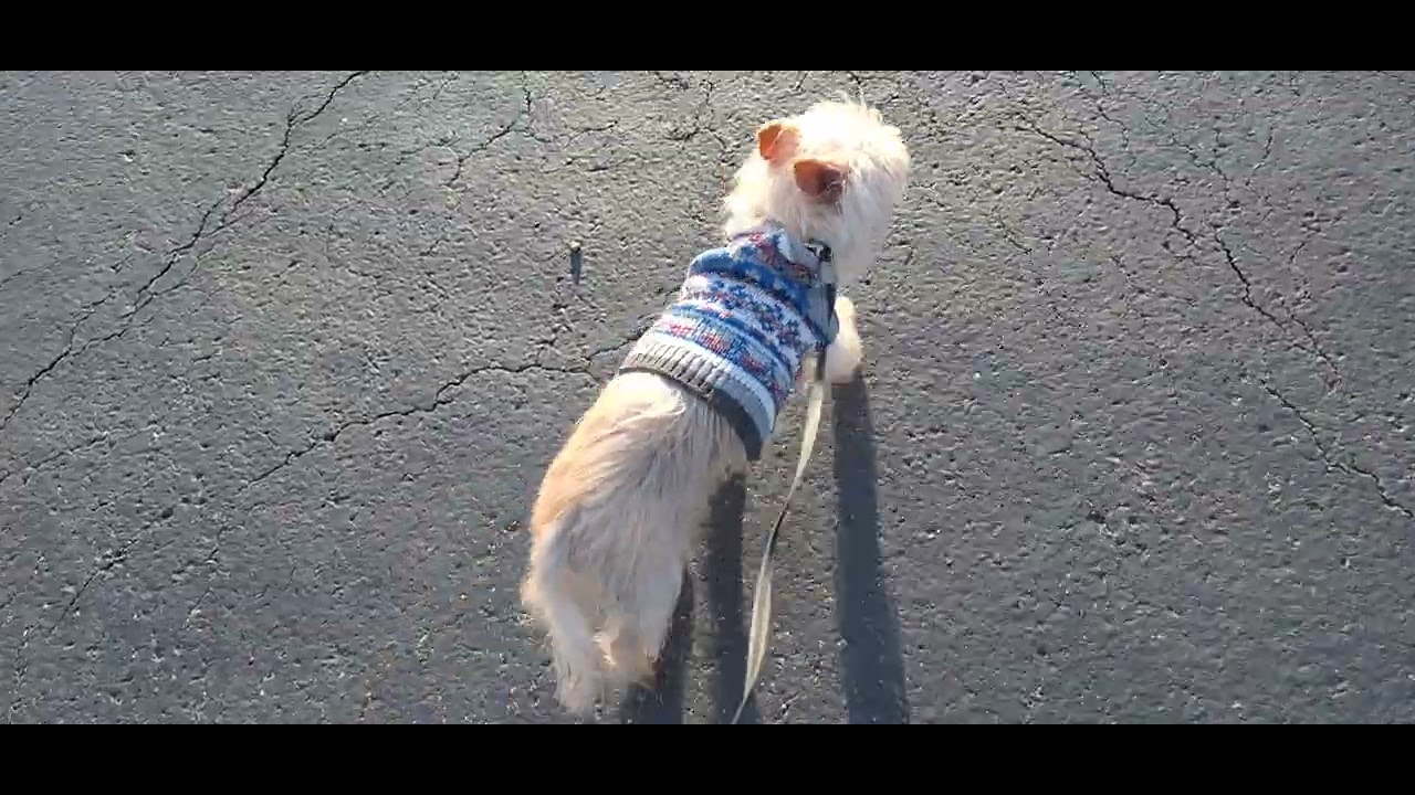 Funeral Home Walk Around 