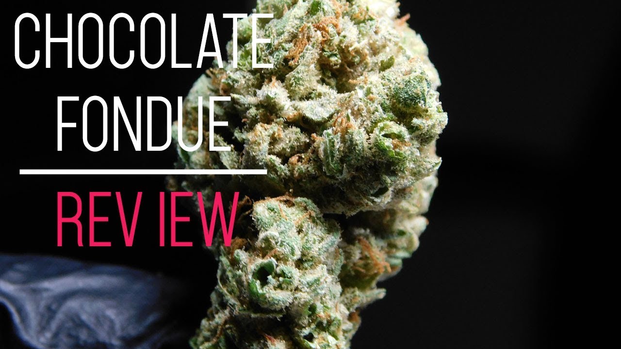 Chocolate Fondue from DNA Genetics