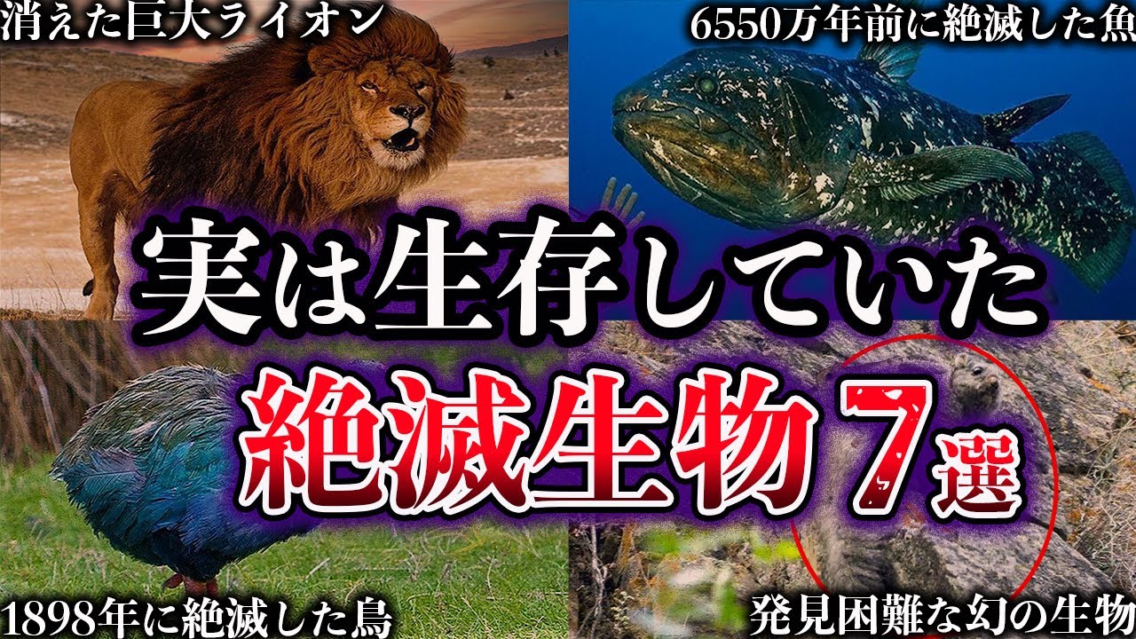 【ゆっくり解説】実は生存していた。近年発見された絶滅生物７選