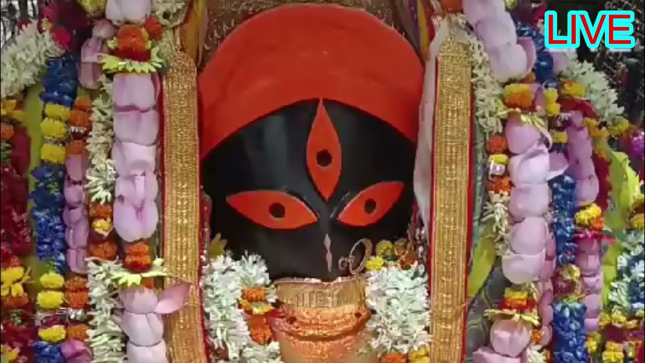 Maa Kali aarti at Kalighat Temple | Kalighat Temple Kolkata कोलकाता काली माता मंदिर | কালীঘাট