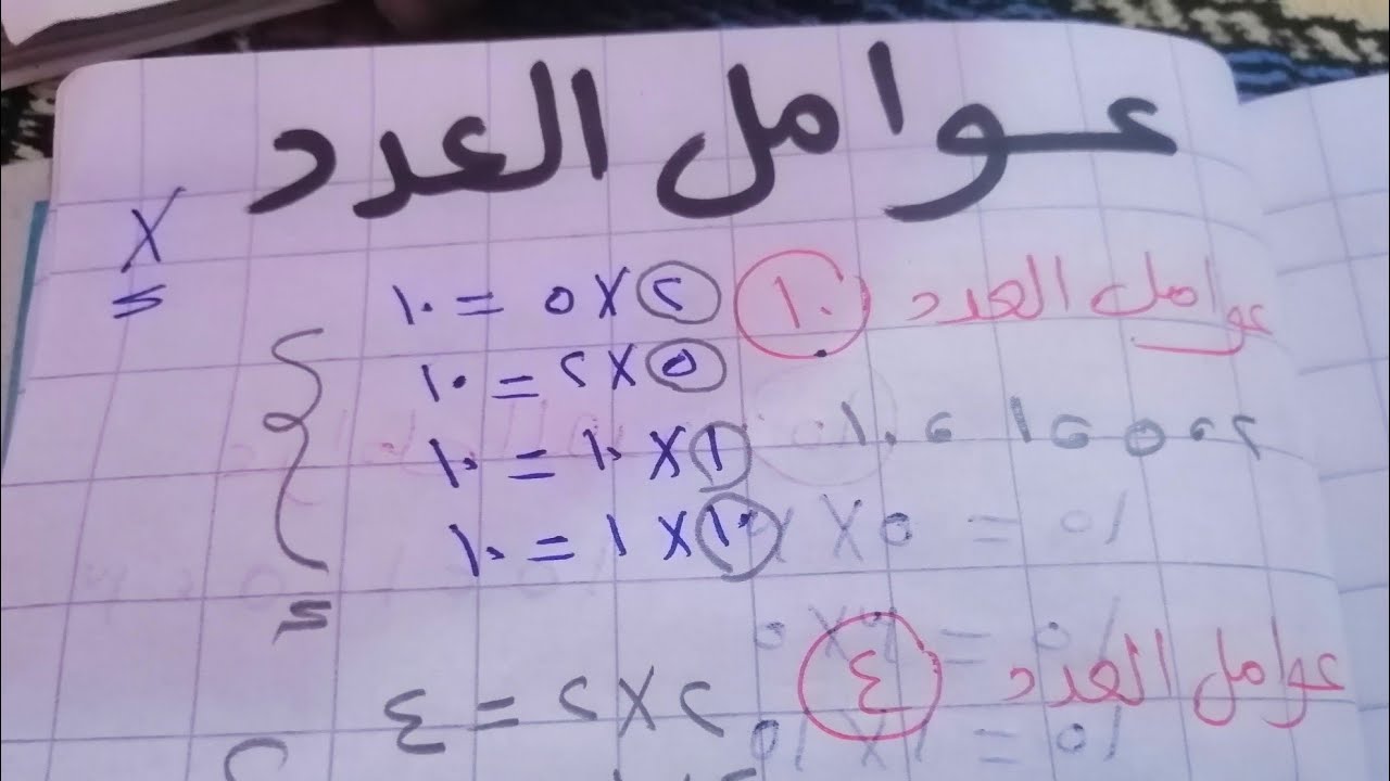 شرح عوامل العدد للصف الثالث الابتدائي الترم الاول ازاي نجيب عامل العدد 🌹