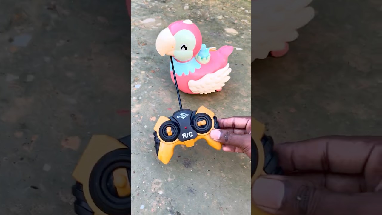 Rc egg bird unboxing | remote control bird | Rc animal #bird