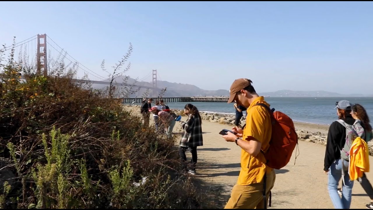 City Nature Challenge 2023 | California Academy of Sciences