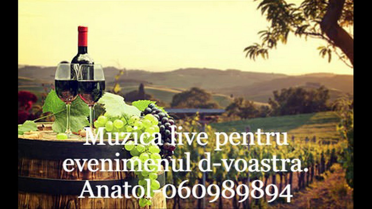Anatolie Cherman vinisor spumos si rece
