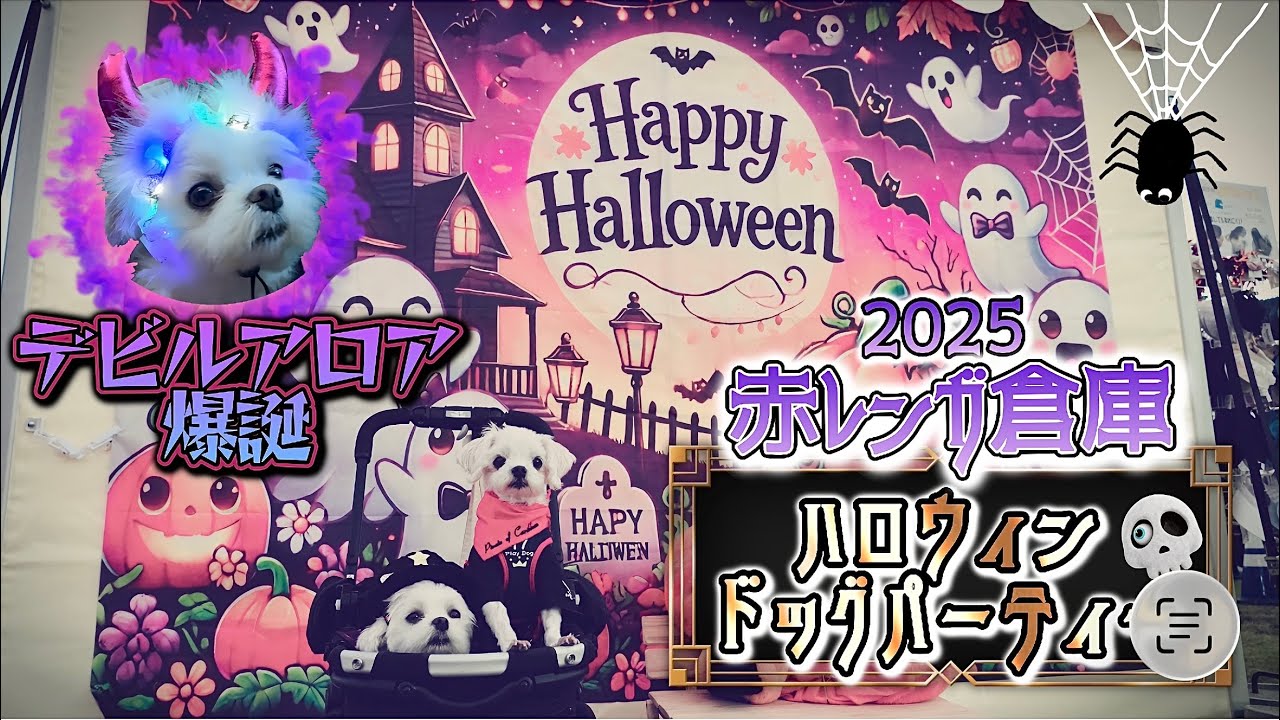 【ハロウィンドッグパーティー】ハロウィンナイトにデビルアロア爆誕