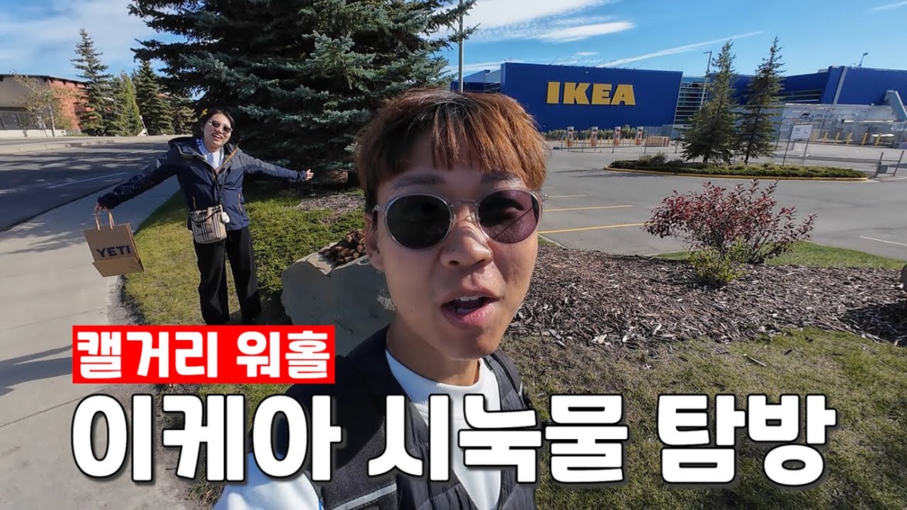 쇼핑과 이사로 적응중인 캐나다 Vlog🍁캘거리 워홀부부 EP.4
