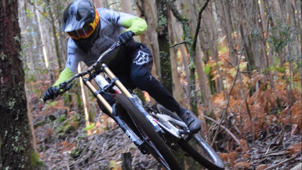 dh kamikazes P2 junior y P8 scrach