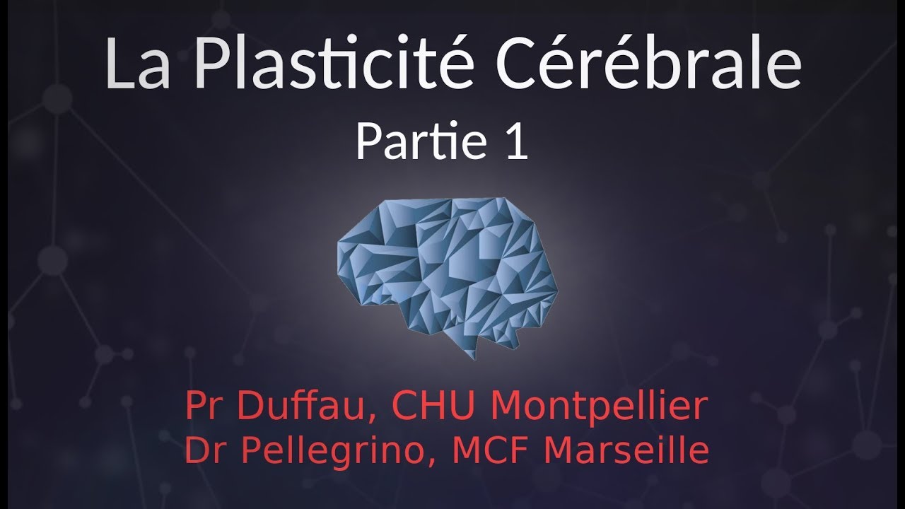 [CONFERENCE NEURONAUTES] La plasticité cérébrale - Christophe PELLEGRINO (Partie 1)