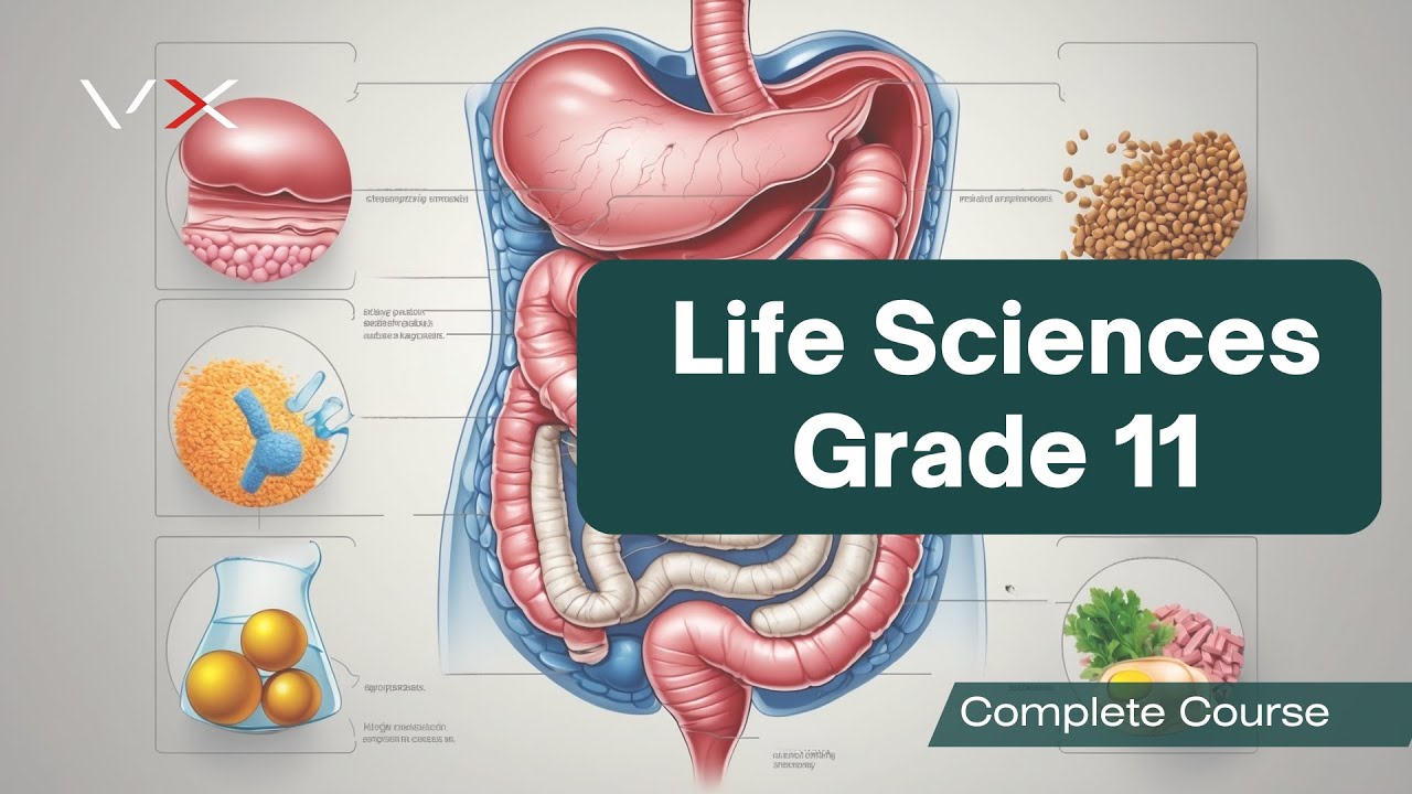 Life Sciences Grade 11 &ndash; VirtualX MasterClass | Complete Course