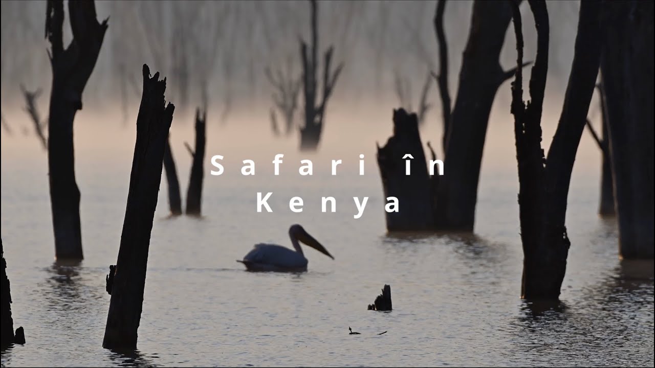 Primul meu Safari în Kenya! Iată un rezumat al acestei expediții fantastice!