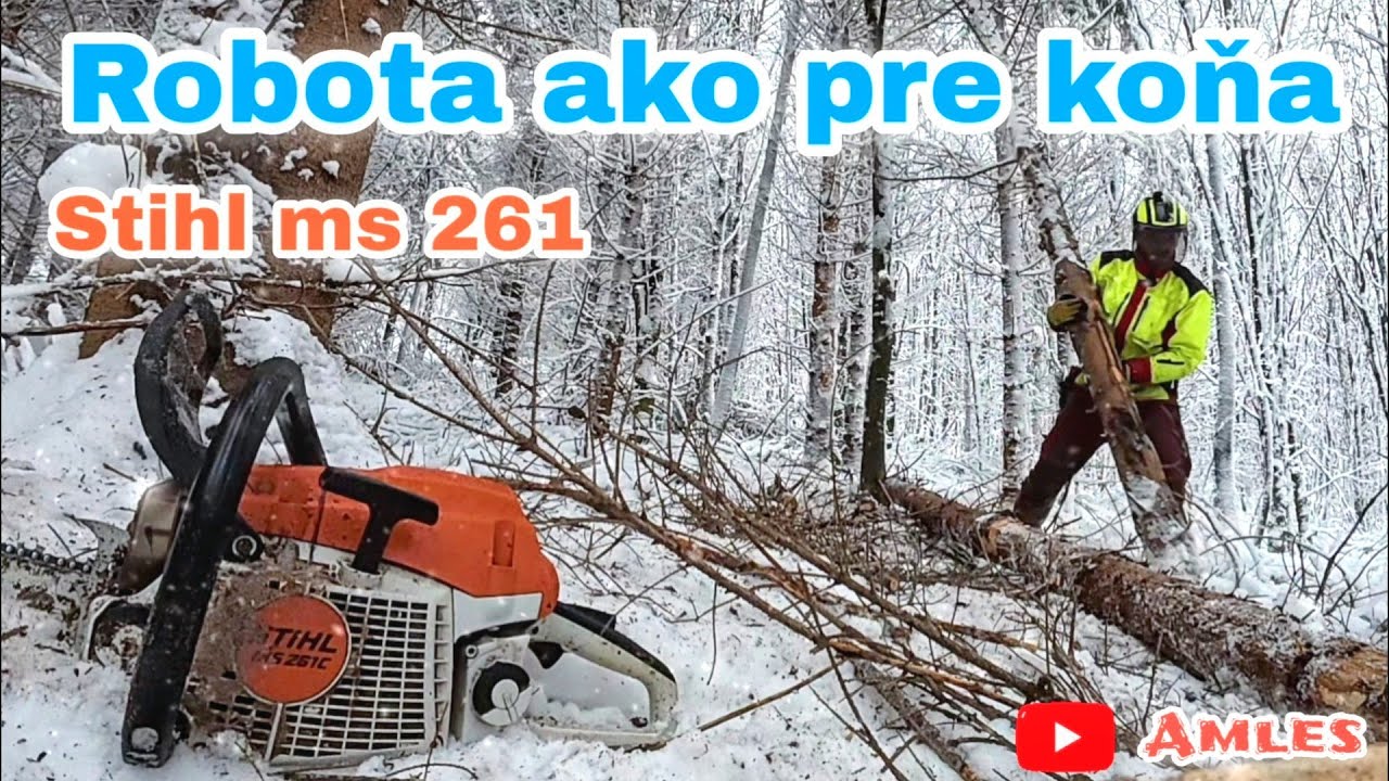 Тяжёлая работа в снегу, как лошадь ❄️ | Прореживание леса 🌲 | Stihl MS 261 C-M в действии | Amles
