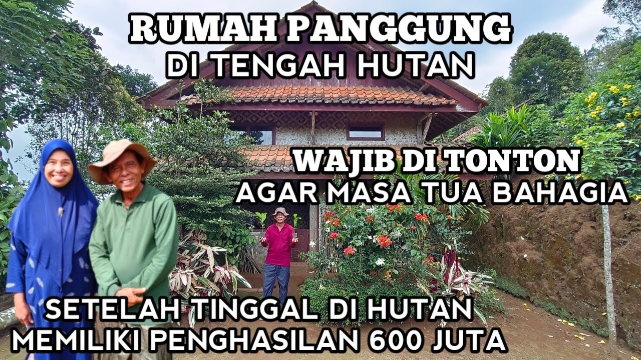 Orang Kaya Setelah Tinggal Di Hutan Memiliki Penghasilan 600 Juta Bangun Rumah Panggung 2 Lantai