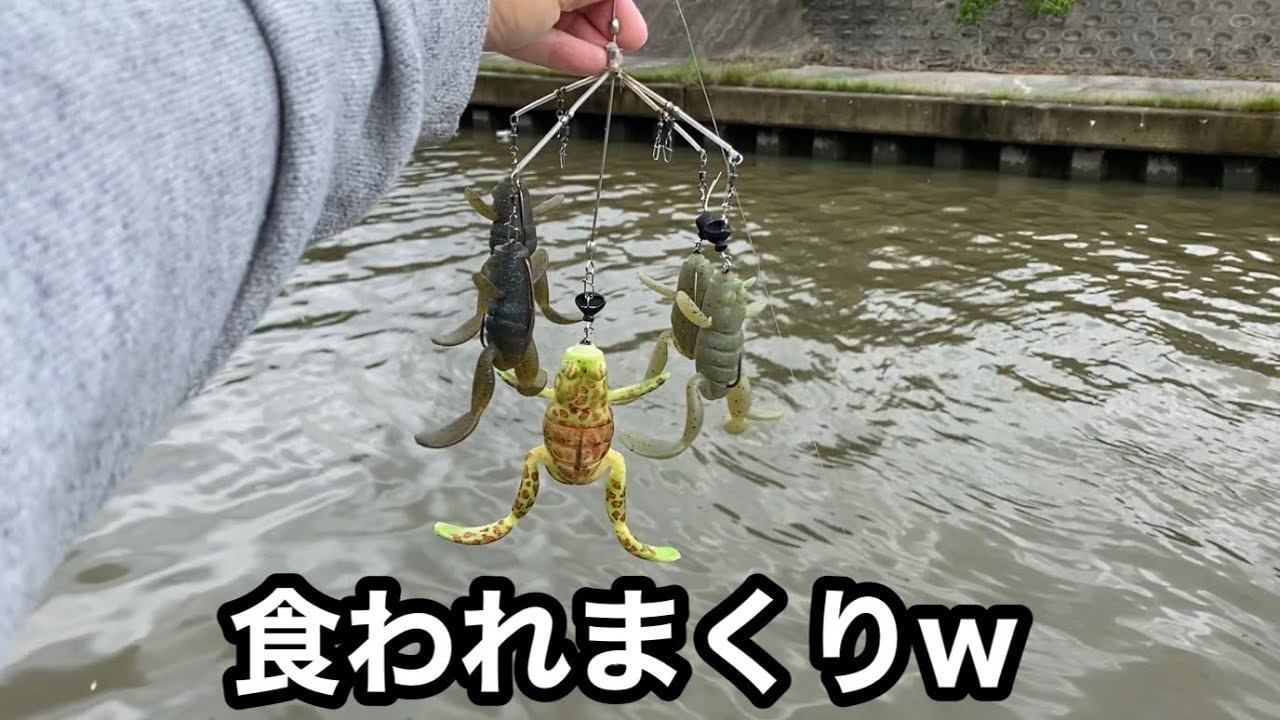 【カエルの合唱リグ】を雨後の川で投げると…