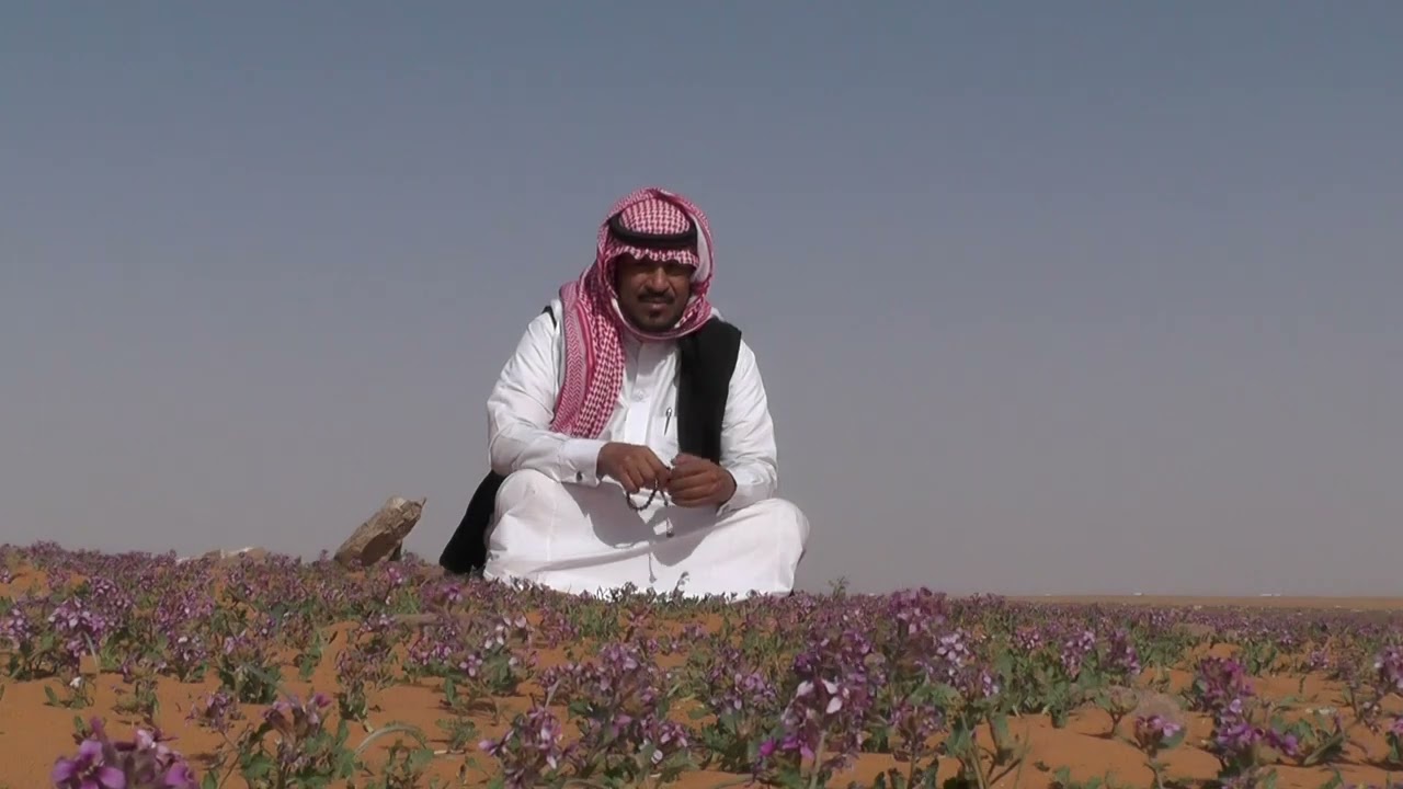 الطواري