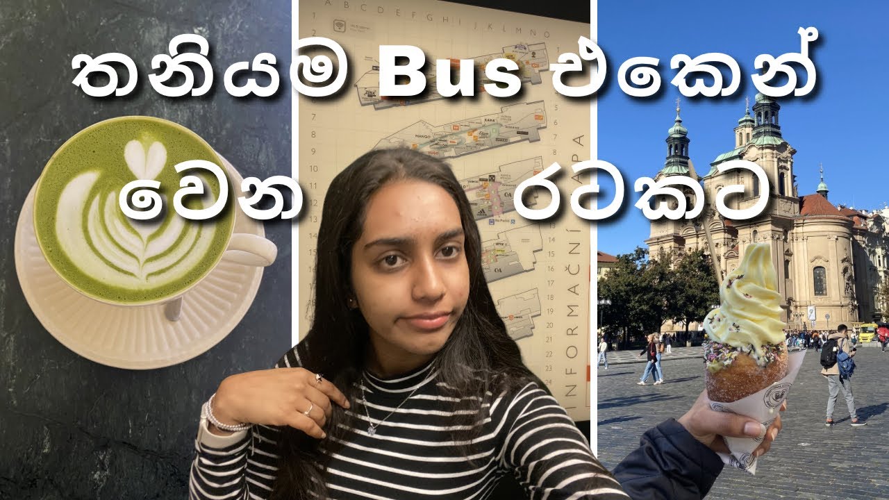 තනියම First time ගිය trip එක 🚌🛣️ | Solo Trip 🍵🥪 | Travel Vlog 🗺️ |Sinhala Vlog 💗